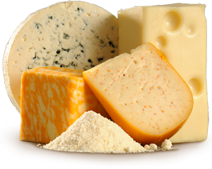 Natural Cheese